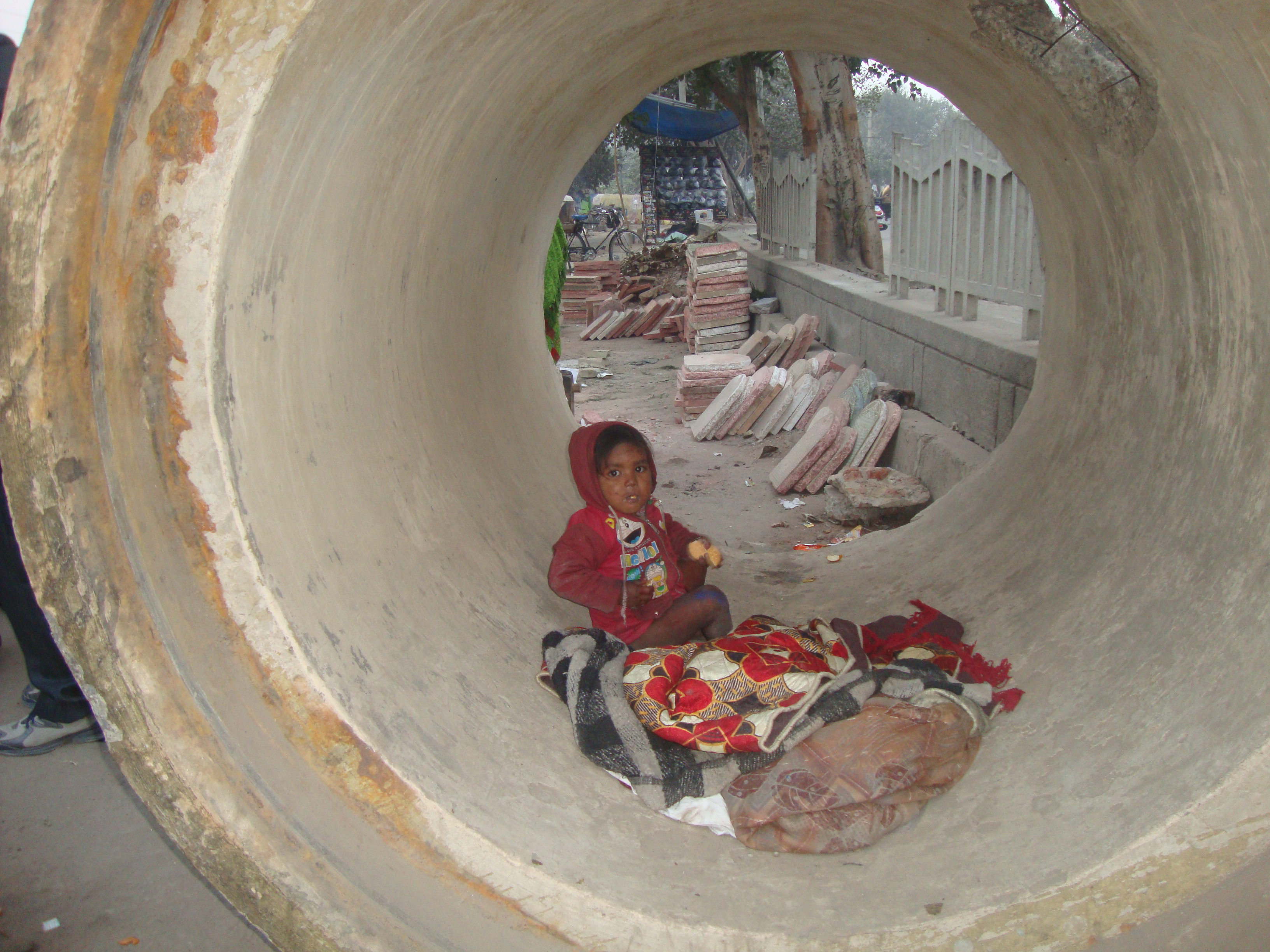 Distribution 23-12-2013